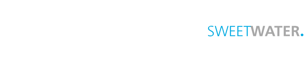 Corporate Sneaker by Sweetwater